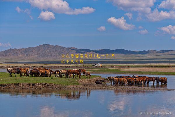 公众号留言关注1毛一个,早已不太可能