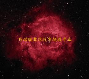 移动版微信投票超级专业