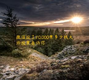 微信投了10,000票多少钱大师投票告诉你