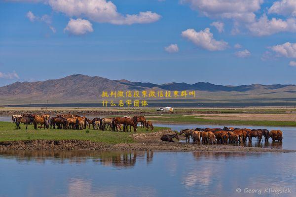 批判微信投票微信投票群叫什么名字团体