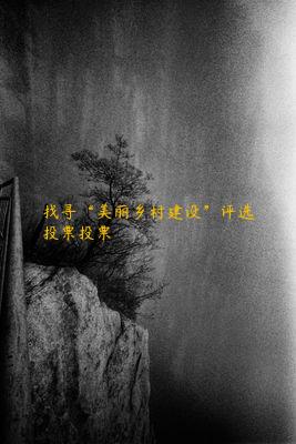 找寻“美丽乡村建设”评选投票投票