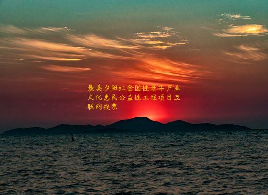 最美夕阳红全国性老年产业文化惠民公益性工程项目互联网投票